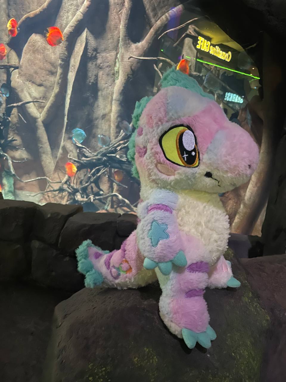 Kimber Plush